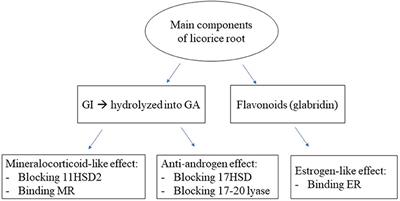 Licorice: From <mark class="highlighted">Pseudohyperaldosteronism</mark> to Therapeutic Uses